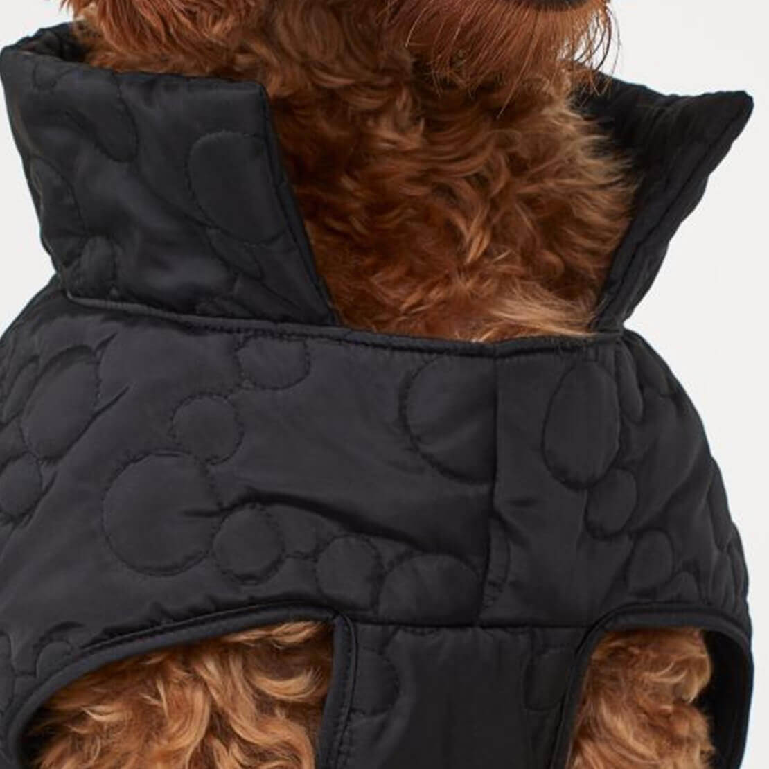 Dog Jacket - Imagen 2